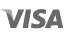 Visa credit card payment